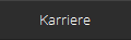 Karriere